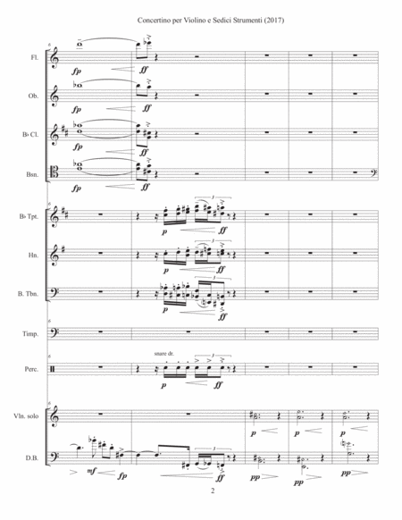 Concertino Per Violino E Sedici Strumenti 2017 Page 2