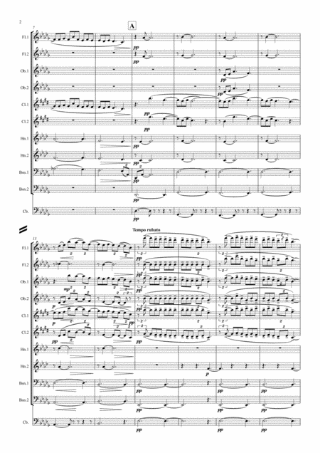 Debussy Suite Bergamasque Mvt 3 Clair De Lune Wind Dectet Bass Page 2
