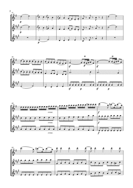 Eine Kleine Nachtmusik For Flute Clarinet And Bass Clarinet Page 2