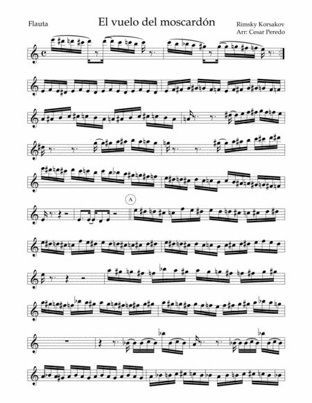El Vuelo Del Moscardon For Flute And Jazz Combo Jazz Afroperuano Page 2