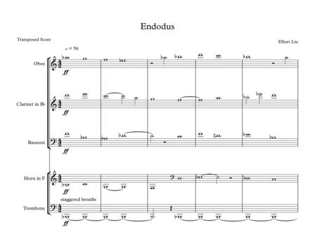 Endodus For Oboe Clarinet Bassoon Horn And Trombone Full Score Page 2