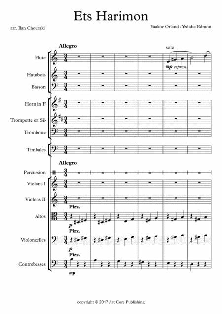 Ets Harimon Arr For Classic Orchestra Page 2