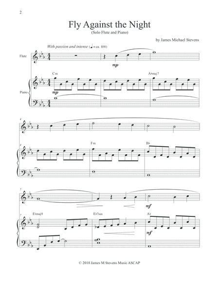 Fly Against The Night Flute Piano Page 2