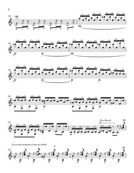 Gian Paolo Chiti Plexus For Two Bass Flutes Page 2