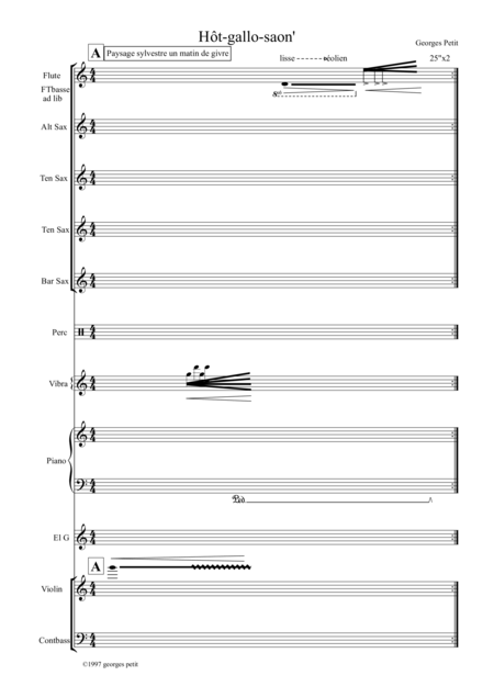 Hot Gallo Saone Performance Score Page 2