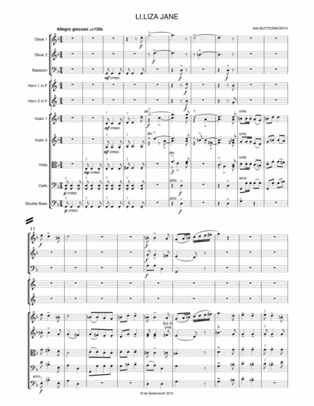 Ian Butterworth Li L Liza Jane For Chamber Orchestra Page 2