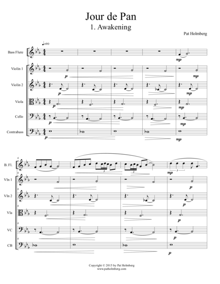 Jour De Pan For Bass Flute And Strings Master Score Page 2