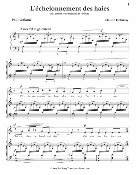 L Chelonnement Des Haies Transposed To A Minor Page 2