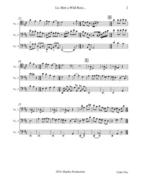 Lo How A Rose Cello Trio Page 2