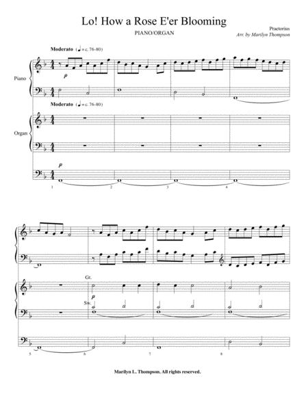 Lo How A Rose E Er Blooming Organ Piano Duet Pdf Page 2