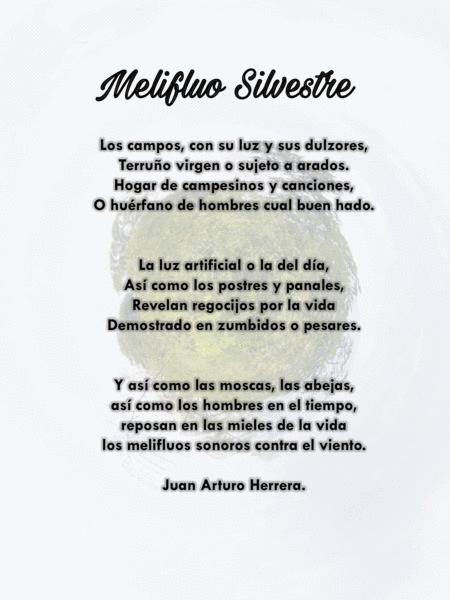 Melifluo Silvestre Page 2