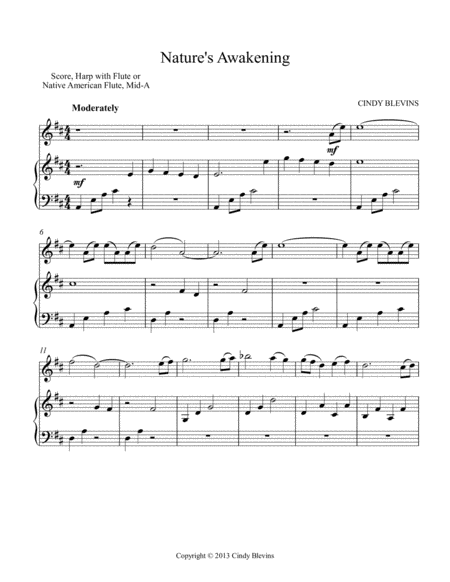 Natures Awakening Arranged For Harp And Native American Flute Page 2