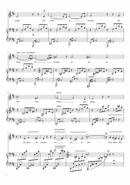 O Lieb So Lang Du Lieben Kannst Franz Liszt Low Voice Key D Page 2