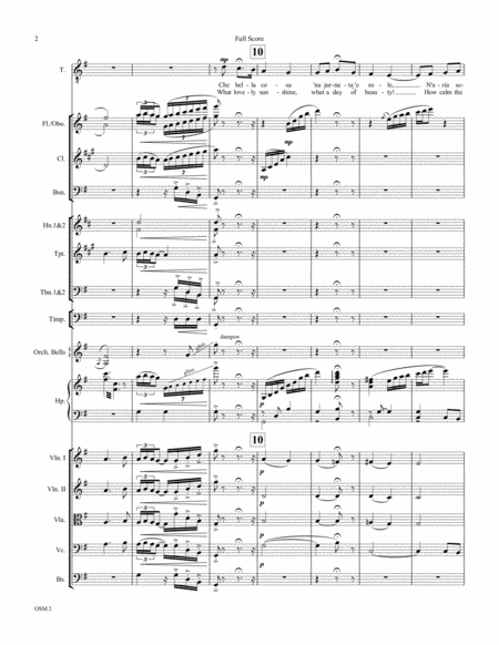 O Sole Mi Tenor Solo With Chamber Orchestra Page 2