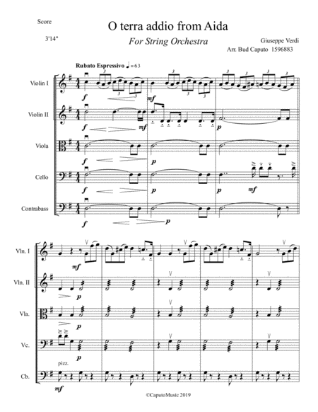 O Terra Addio Aria From Aida For Strings Page 2