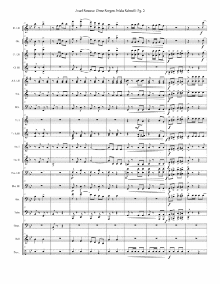 Ohne Sorgen Polka Schnell Score Page 2