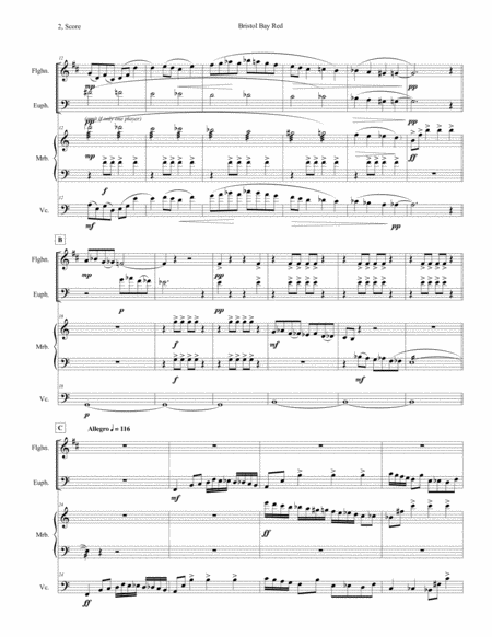 Our Lady Of Guadalupe Accompaniment Track Page 2