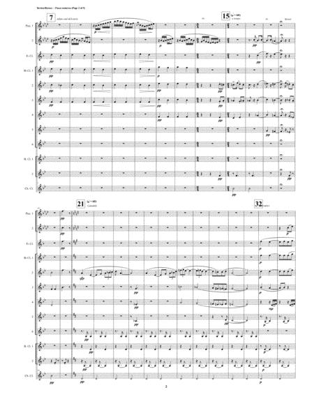 Paseo Noturno Clarinet Choir 2 Piccolos Page 2