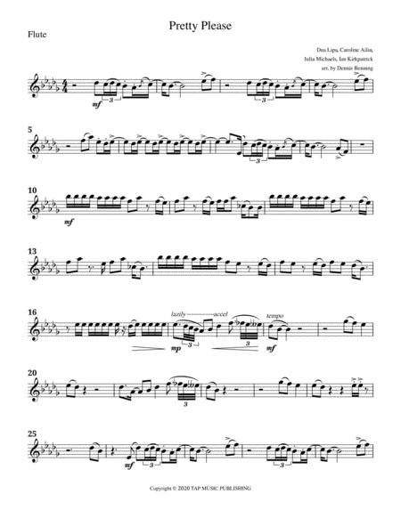 Pretty Please For Solo Flute No Piano Page 2