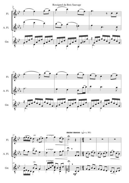 Rossignol Du Bois Sauvage For Flute Alto Flute And Guitar Page 2