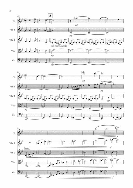 Salve Regina Quintet For Flute And Strings Page 2