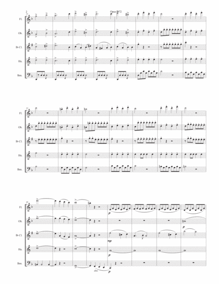 Schubert Opus 72 1st Movement For Wind Quintet Page 2