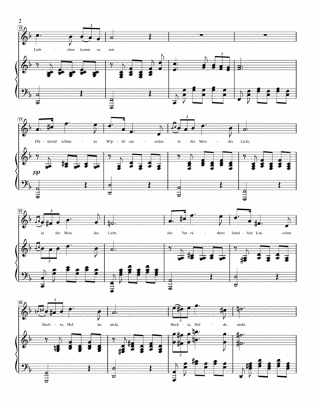 Schubert Serenade Stndchen From Schwanengesang For High Voice In D Minor Page 2
