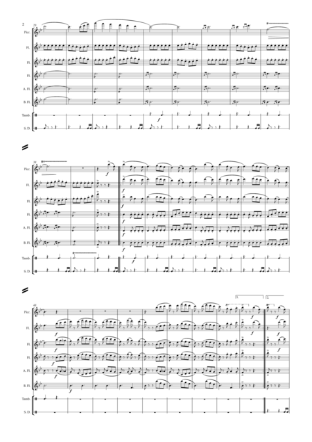 Slovenian Sonata For Flute Choir Page 2