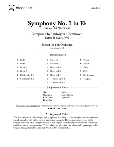 Symphony No 3 In E Flat 1st Movement Eroica Score Parts Page 2