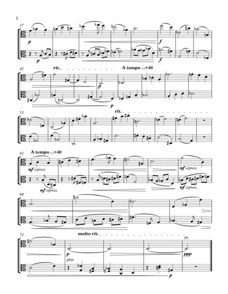 Tchaikovsky Scene 10 From Swan Lake For Bass Flute Piano Page 2