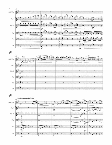 Tchaikovsky Violin Concerto 1st Movement Solo Violin And String Orchestra Page 2