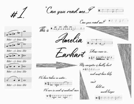 The Last Transmissions Of Amelia Earhart Page 2