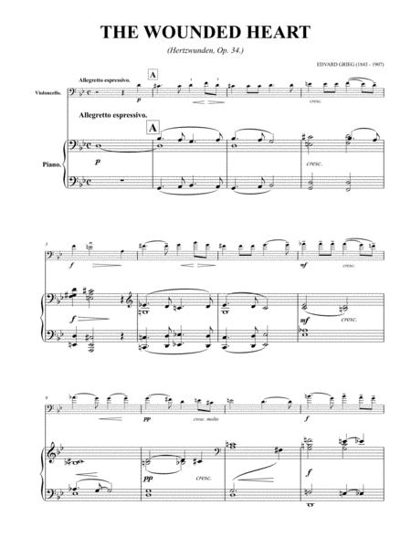 The Wounded Heart Hertzwunden Op 34 For Violocello And Piano As Played By Yo Yo Ma Page 2