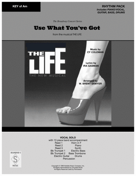 Use What You Got From The Musical The Life Vocal Solo In Am Rhythm Pack Page 2