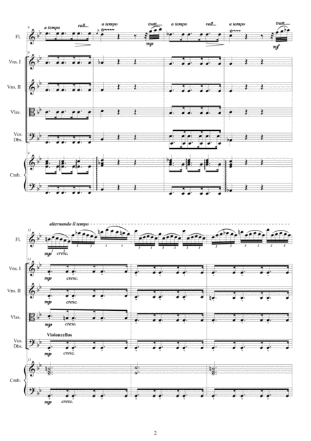 Vivaldi Flute Concerto No 2 In G Minor La Notte Op 10 Rv 439 For Flute Strings And Cembalo Page 2