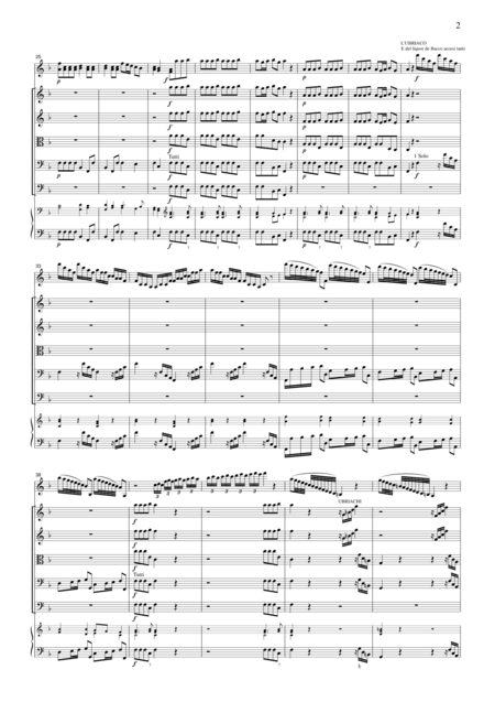 Vivaldi L Autunno Violin Concerto Op 8 No 3 For String Orchestra Sv003 Page 2