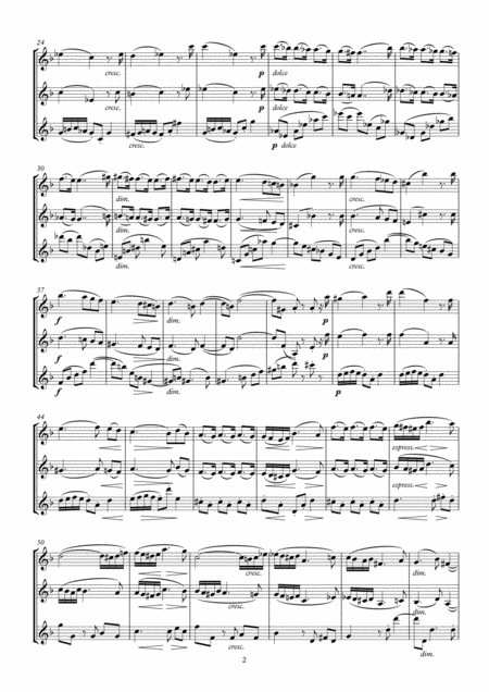 Zweites Terzett Op 61 No 2 Arr Flute Altoflute And Bassflute Page 2