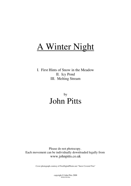 A Winter Night Sheet Music