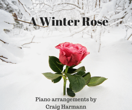 A Winter Rose Sheet Music