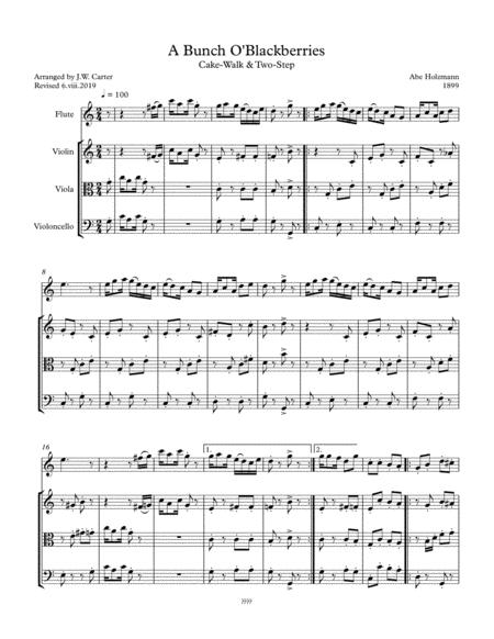 Abe Holzmann A Bunch O Blackberries Cake Walk Two Step 1899 Arranged For Flute String Trio Sheet Music