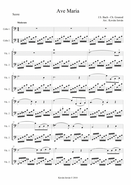 Ave Maria For 2 Cellos Sheet Music