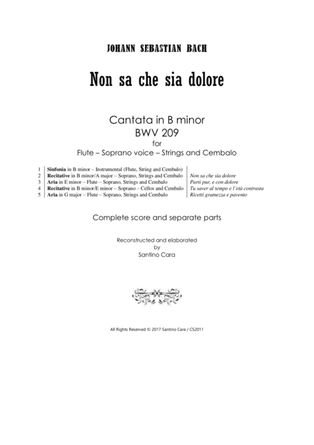 Bach Non Sa Che Sia Dolore Cantata Bwv 209 For Flute Soprano Strings And Cembalo Sheet Music