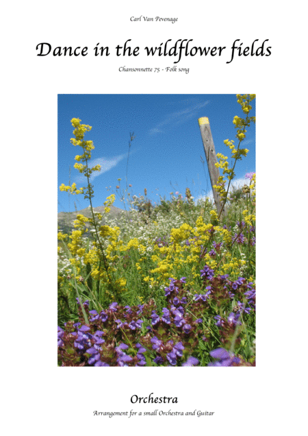 Ch075orc Dance In The Wildflower Fields Folk Sheet Music