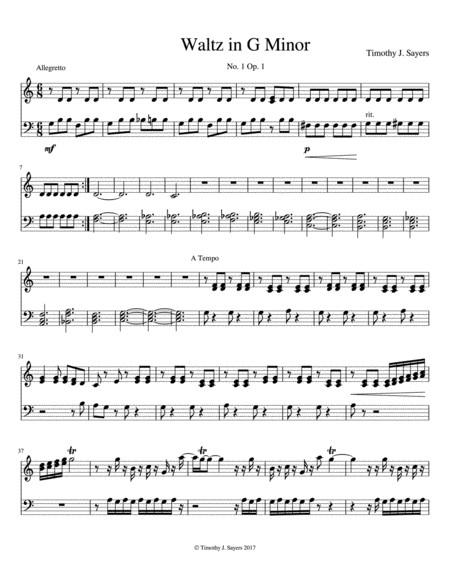 Chamber Orchestra Arr Sheet Music