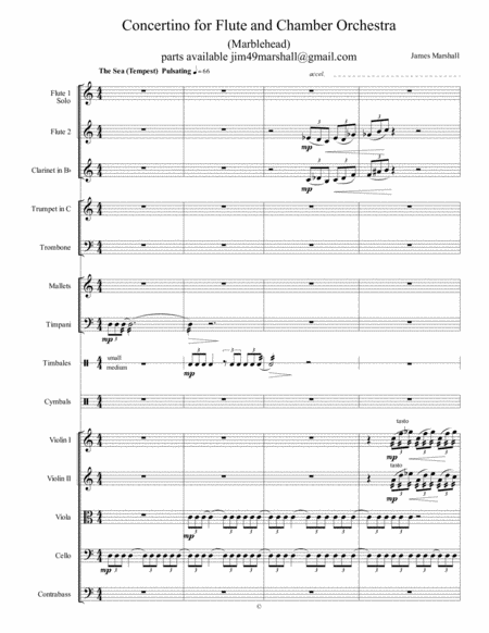 Concertino For Flute And Chamber Orchestra Marblehead Study Score Sheet Music