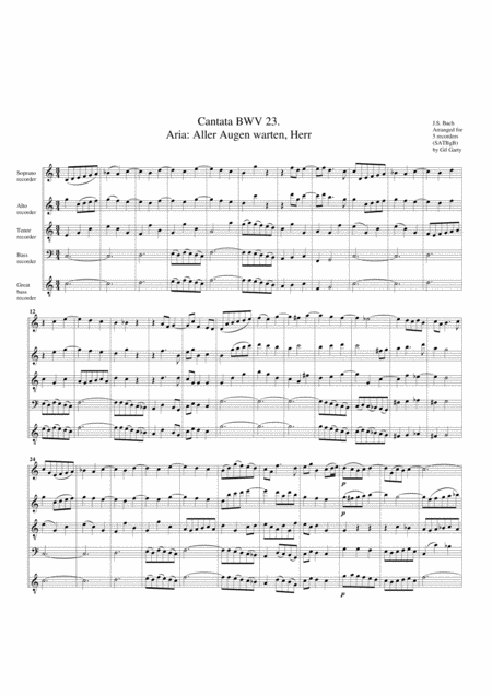 Coro Aria Aller Augen Warten Herr From Cantata Bwv 23 Arrangement For 5 Recorders Sheet Music