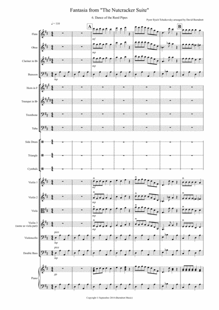 Dance Of The Reed Pipes Fantasia From Nutcracker For School Orchestra Sheet Music