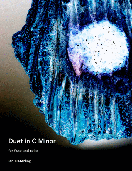 Duet In C Minor For Flute And Cello Sheet Music