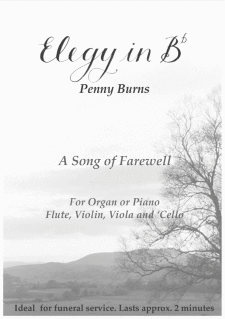 Elegy In Bb For Organ Flute And Strings Sheet Music