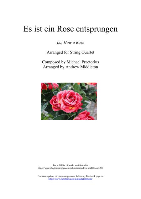 Free Sheet Music Es Ist Ein Rose Entsprungen Arranged For String Quartet